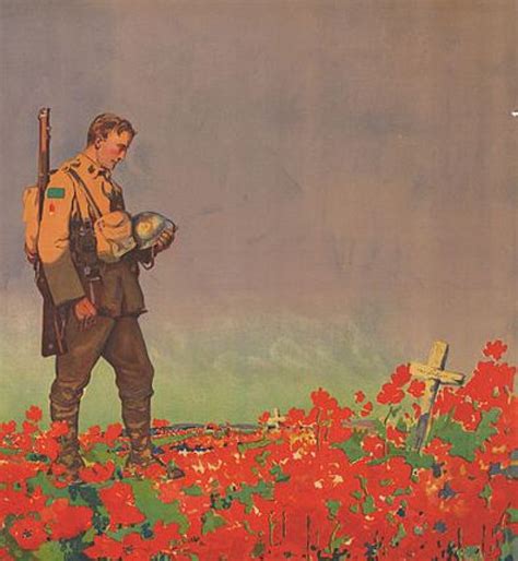 Remembrance Day: The Story Of The Poppy