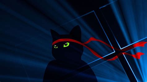 Cat Ninja Wallpapers - Wallpaper Cave