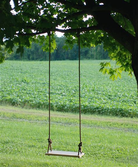 DIY Tree Swing | Tree swings diy, Diy backyard, Tree swing