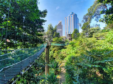 KL Forest Eco Park (Canopy Walk Trail) - 1step1footprint