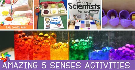 15 Fabulous Five Senses Activities for Preschoolers