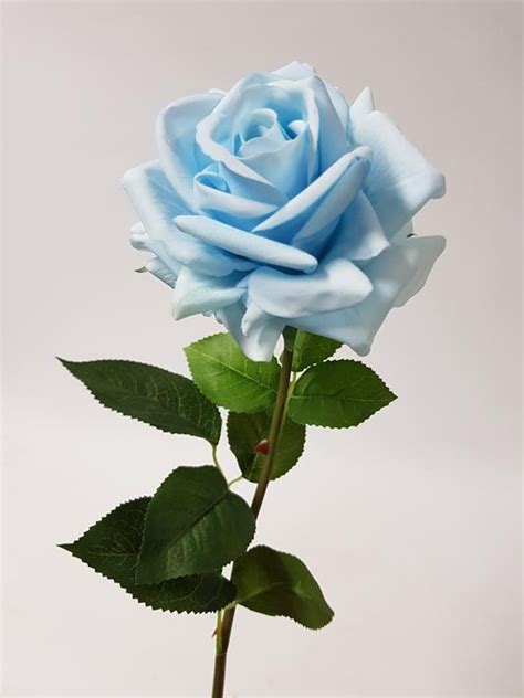 Artificial Rose Anna Baby Blue 75cm - Desflora