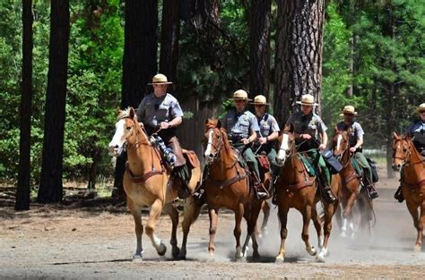 Yosemite's Mounted Patrol Rangers | Yosemite, Ranger