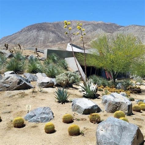 Top 70 Best Desert Landscaping Ideas - Drought Tolerant Plants