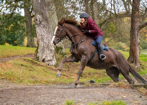 Castle & Estate Ride | Horse Riding Holidays in Ireland | Globetrotting