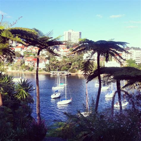 Cremorne Point Walk: One of Sydney’s Prettiest Short Walks