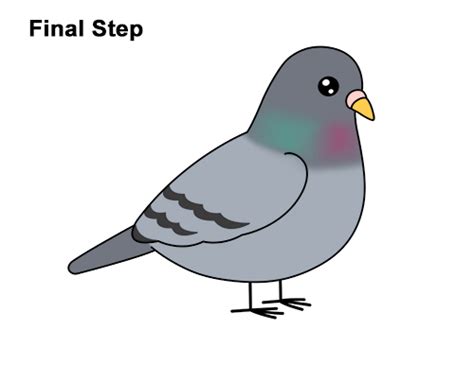 How to draw a pigeon – Artofit