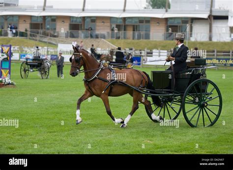 Carriage Driving High Resolution Stock Photography and Images - Alamy