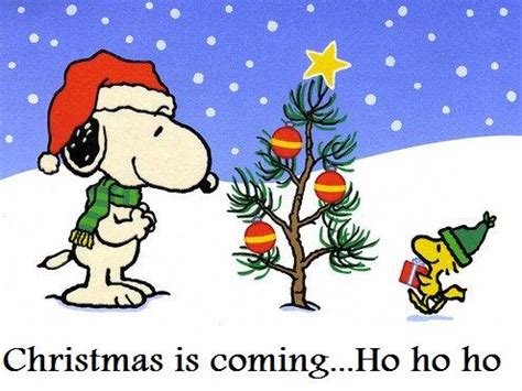 Free Snoopy Christmas Computer Wallpaper - Snoopy Christmas Is Coming - 2560x1920 Wallpaper ...