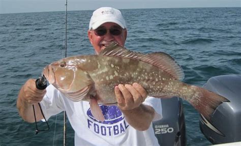 Bonita Beach | Fishing-report | floridasportfishing.com