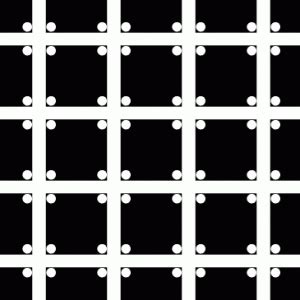 Hermann grid illusion / nobody knows anything