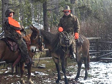 Montana Elk Hunting Outfitter | Bob Marshall Wilderness | Lincoln, MT