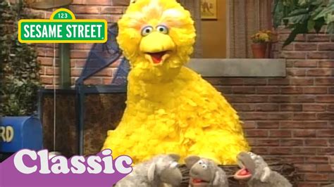 Big Bird Rhymes | Sesame Street Classic - YouTube