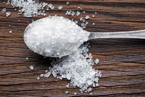 Is Salt Bad for Dogs? A Nuanced Answer - AskVet