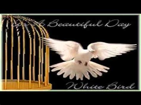 White Bird - It's A Beautiful Day | Shazam