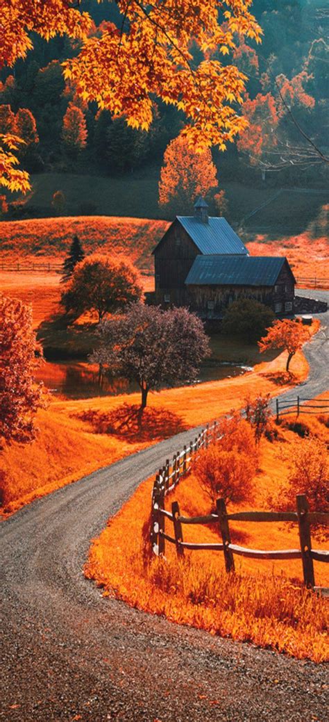 Autumn iPhone Wallpapers - Top Free Autumn iPhone Backgrounds ...