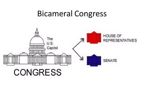 The Bicameral System - Poolitician | Plunging into Politics