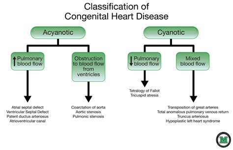 Image result for congenital heart disease classification | Congenital ...