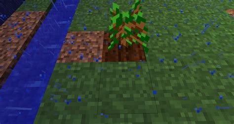 minecraft java edition - Does planting a sapling on farmland help it ...