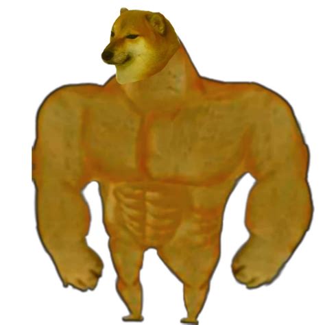 97 Meme Doggo Muscle