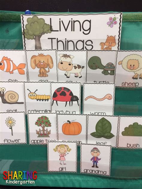 Print & Play with Living and Non Living Things | Kindergarten science, Kindergarten, Science ...