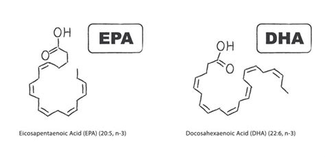 Cardiometabolic Differences: EPA vs. DHA