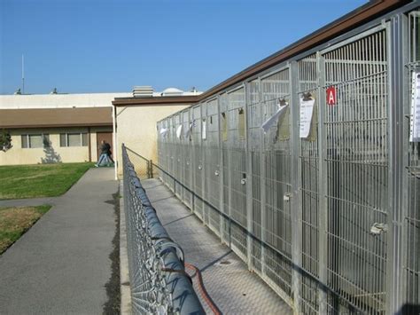 Ventura County Animal Shelter - Camarillo - LocalWiki