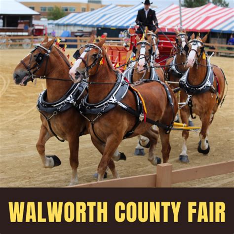 Walworth County Fair 2024 - Elkhorn, WI | Eventlas