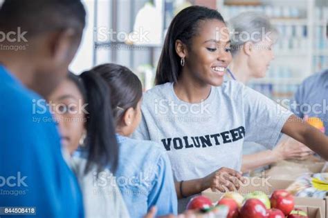 Busy Food Bank Volunteers Sort Donations Stock Photo - Download Image ...