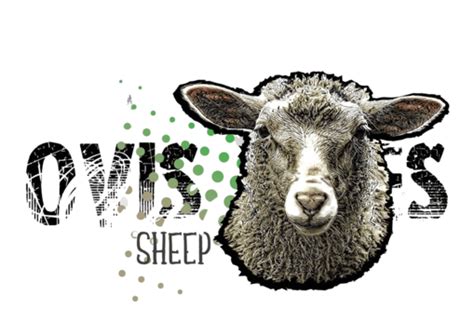 A Face Of Sheep Art Clip Head Vector, Art, Clip, Head PNG and Vector with Transparent Background ...