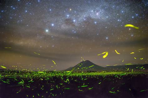 lake natron Archives - Universe Today