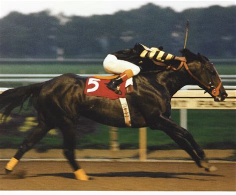 Seattle Slew, One of the Best - Past The Wire