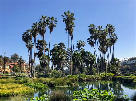 Echo Park Lake Echo Park Los Angeles California | HilaryStyle