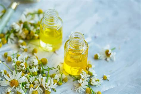 11 Brilliant Ways to Use Chamomile Flowers