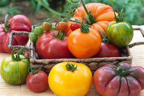 The Best Heirloom Tomatoes To Grow In Your Garden This Year