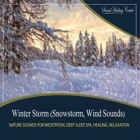 Winter Storm Snowstorm, Wind Sounds Nature Sounds for Meditation, Deep ...