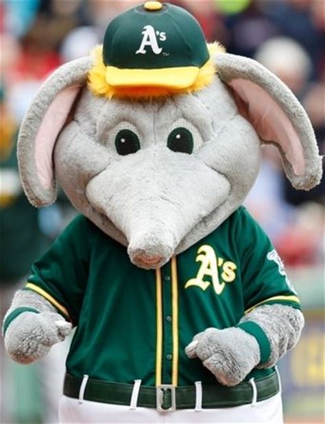 oakland A's ... stomper | Mascot, Team mascots, Mascot costumes