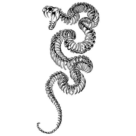 a black and white drawing of a snake with its tail curled in the shape of a spiral
