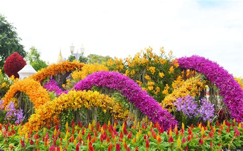 Giant Flower Garden Pops Up In Bangkok’s City Centre