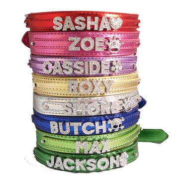 Personalized Dog Collar - Dog Collar Charms | Hot Dog Collars