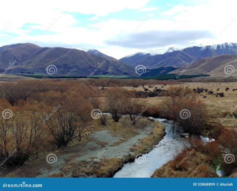 Gondor; Twizel, New Zealand Stock Image - Image of mountains, sheep ...