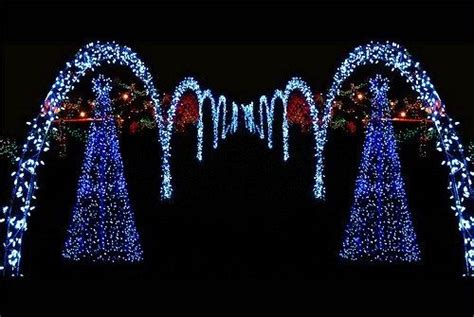 Driveway Christmas Lights | Home Inspiration