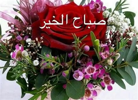 Flower Of Saudi Arabia Name | Best Flower Site