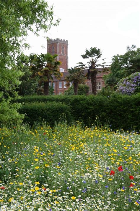 The Walled Gardens of Cannington | Garden view, Classic garden, Garden wall