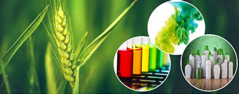 The future of bio-based chemicals in the EU Bioeconomy - European Commission