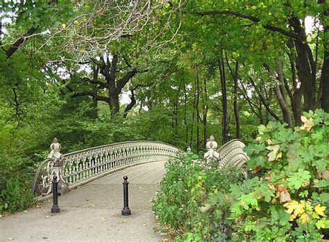 Free Images : tree, forest, trail, bridge, leaf, flower, new york, new york city, nyc, autumn ...