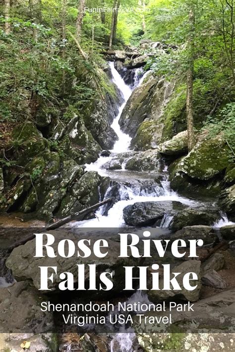 Beautiful Rose River Loop Hike: Shenandoah National Park Waterfalls