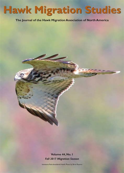 Hawk Migration Studies – Hawk Migration Association of North America