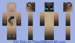 Siamese Cat Minecraft Skin