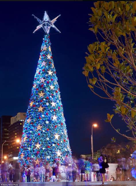 The worlds largest solar-powered Christmas tree stands proudly inside of King George Square in ...